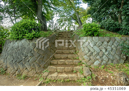 世田谷区立世田谷城址公園 45351069