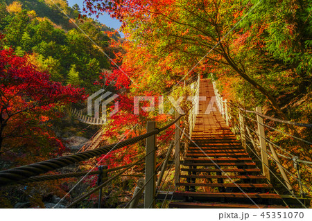 大柳川渓谷　紅葉 45351070