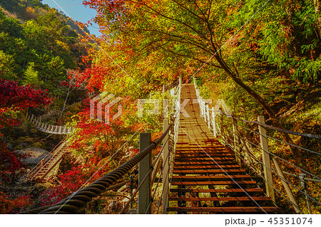 大柳川渓谷　紅葉 45351074