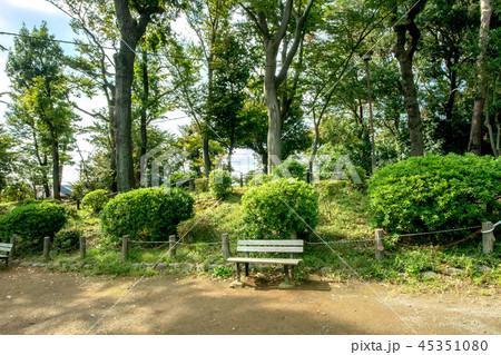 世田谷区立世田谷城址公園 世田谷区立世田谷城址公園 45351080