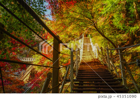 大柳川渓谷　紅葉 45351090