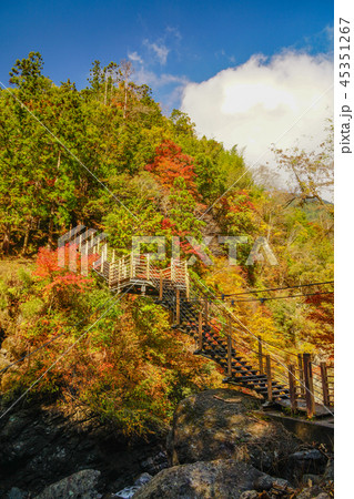 大柳川渓谷　紅葉 45351267