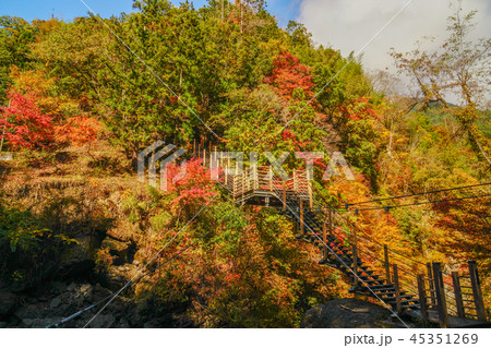 大柳川渓谷　紅葉 45351269