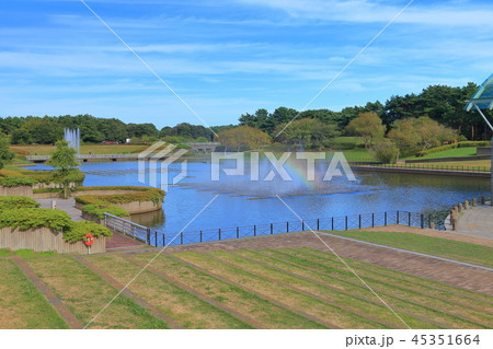 国営ひたち海浜公園 水のステージ 国営ひたち海浜公園 水のステージ 45351664