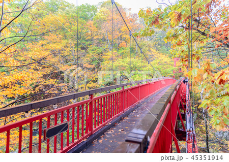 Jozankei Futami Suspension Bridge in Autumn forest Jozankei Futami Suspension Bridge in Autumn forest 45351914