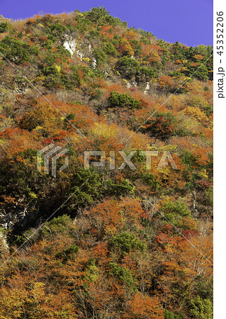 徳島竜ヶ岳の紅葉 45352206