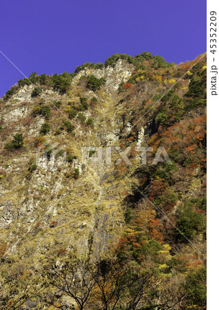 徳島竜ヶ岳の紅葉 45352209