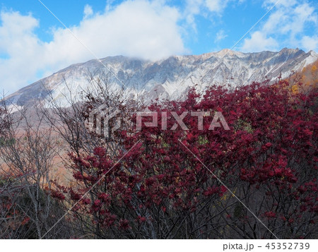 晩秋の大山南壁の眺望　鳥取大山 45352739