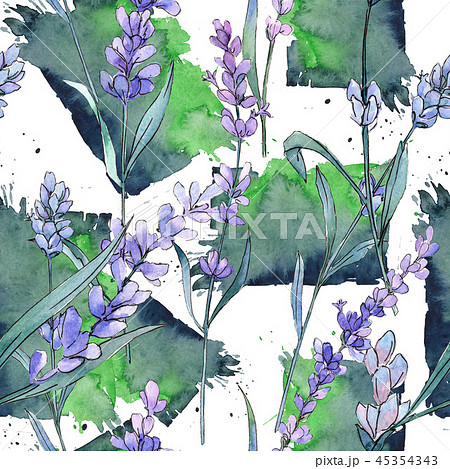 Purple lavender. Floral botanical flower. Watercolor background illustration set. Seamless 45354343