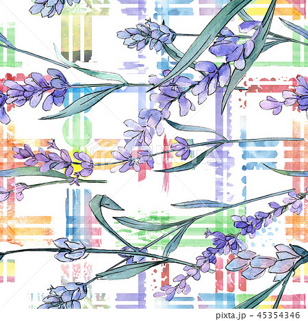 Purple lavender. Floral botanical flower. Watercolor background illustration set. Seamless 45354346