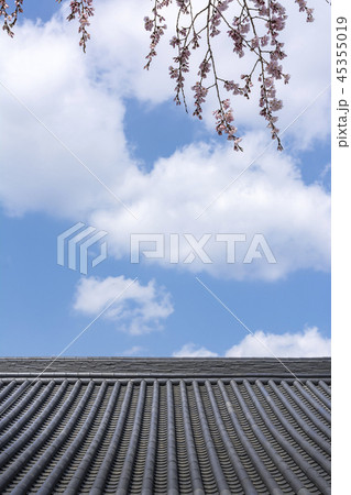 空 風景 広がり 45355019