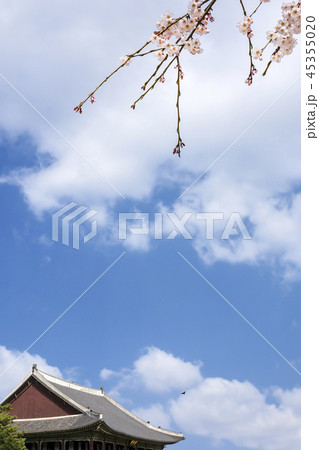 空 風景 広がり 45355020