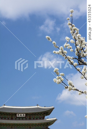 風景 雲 広がり 45355024