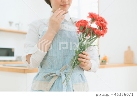 Housework 45356071