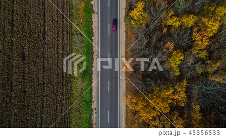 Aerial view of road in autumn forest at sunset. Amazing landscape with rural road, trees with red 45356533