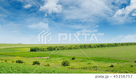 Hilly green field and windmill on blue sky  45356757