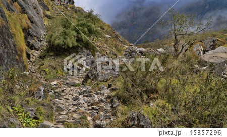 Beautiful view of nature on a trekking trail to the Annapurna base camp, the Himalayas, Nepal 45357296