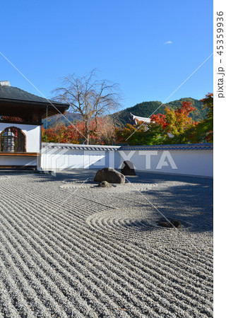桐生市 宝徳寺の石庭 桐生市 宝徳寺の石庭 45359936