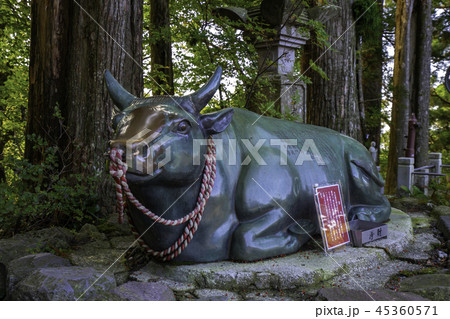 大山寺 宝牛 大山寺 宝牛 45360571