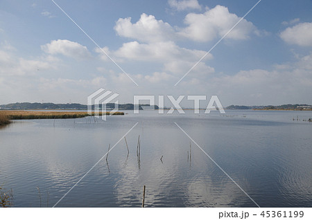 手賀沼 千葉県 湖沼 柏市 我孫子市 手賀沼 千葉県 湖沼 柏市 我孫子市 45361199