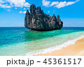 Tropical paradise island beach exotic landscape 45361517