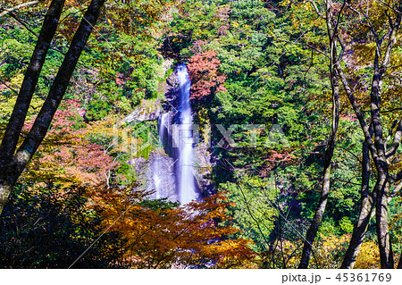 せんだん轟の滝の紅葉 熊本県八代市五家荘 の写真素材
