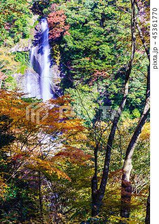 せんだん轟の滝の紅葉　【熊本県八代市五家荘】 45361770