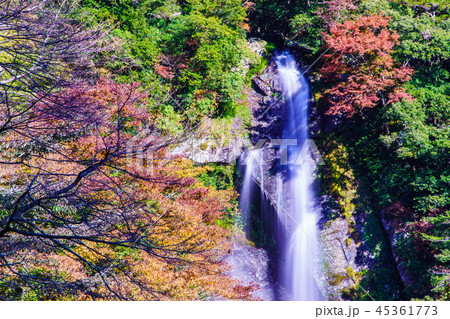 せんだん轟の滝の紅葉　【熊本県八代市五家荘】 45361773