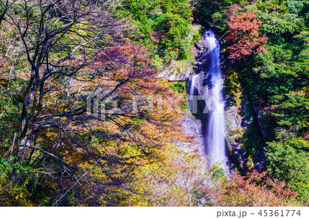 せんだん轟の滝の紅葉　【熊本県八代市五家荘】 45361774
