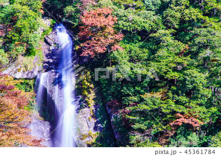 せんだん轟の滝の紅葉 熊本県八代市五家荘 の写真素材