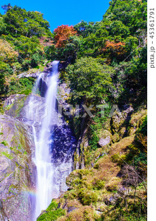 せんだん轟の滝の紅葉 熊本県八代市五家荘 の写真素材