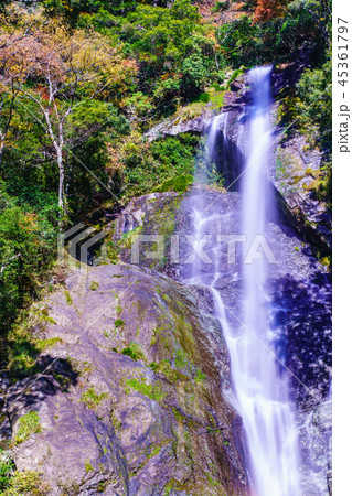 せんだん轟の滝の紅葉　【熊本県八代市五家荘】 45361797