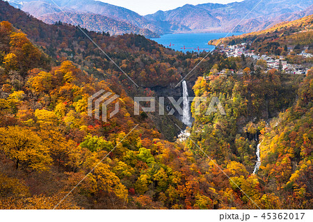 栃木県 奥日光 明智平の紅葉の写真素材