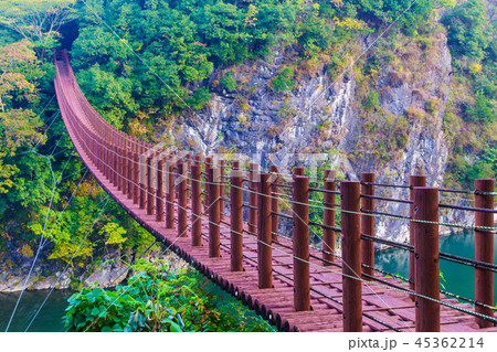 立神峡　火の国橋の紅葉　【熊本県八代郡氷川町】 45362214
