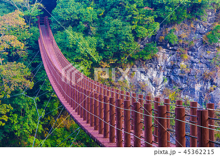 立神峡　火の国橋の紅葉　【熊本県八代郡氷川町】 45362215