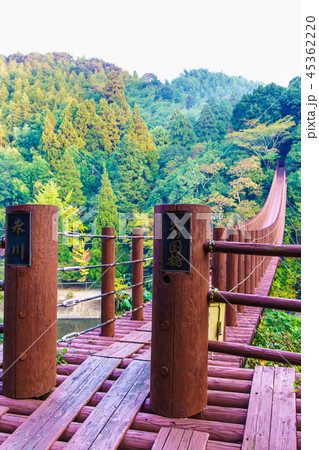 立神峡　火の国橋の紅葉　【熊本県八代郡氷川町】 45362220