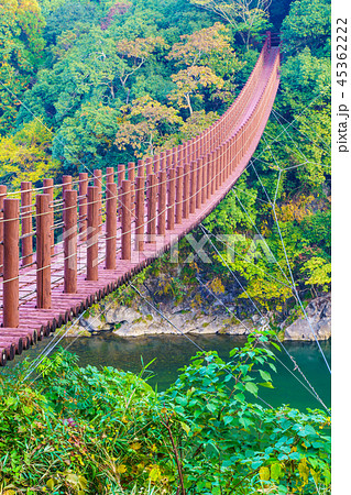立神峡　火の国橋の紅葉　【熊本県八代郡氷川町】 45362222
