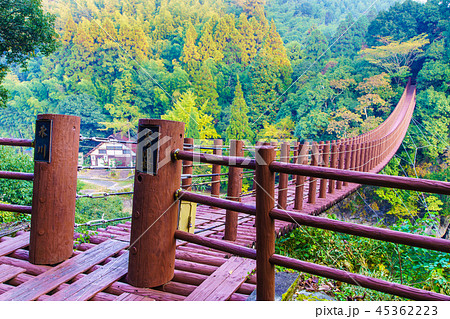 立神峡　火の国橋の紅葉　【熊本県八代郡氷川町】 45362223
