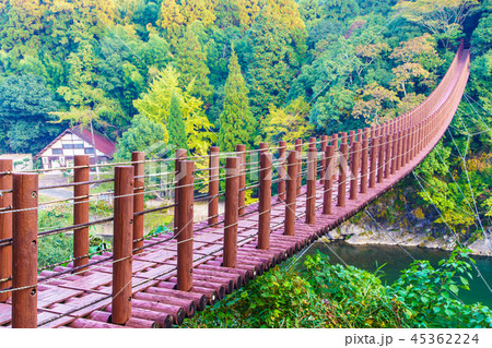 立神峡　火の国橋の紅葉　【熊本県八代郡氷川町】 45362224