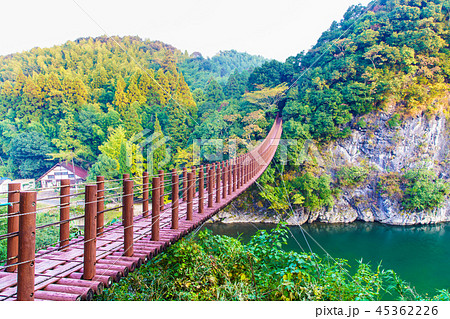立神峡　火の国橋の紅葉　【熊本県八代郡氷川町】 45362226