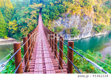 立神峡　火の国橋の紅葉　【熊本県八代郡氷川町】 45362228