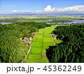 上空から見る田園風景と信濃川 45362249