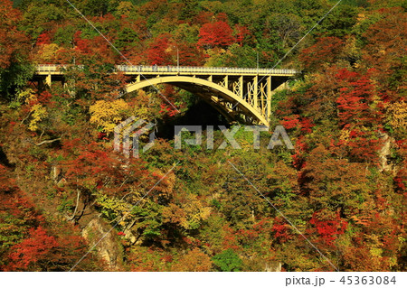 紅葉の鳴子峡 紅葉の鳴子峡 45363084