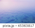 海 45363817