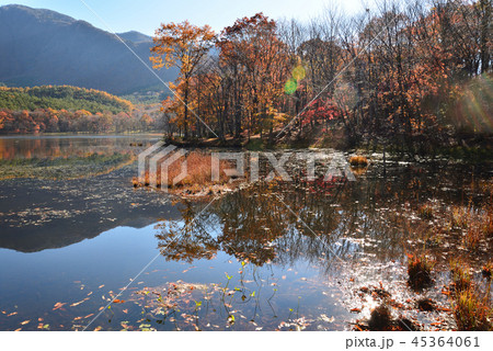 観音沼森林公園へ行きました　　＃5 45364061