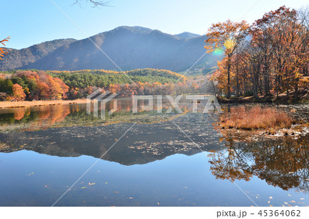 観音沼森林公園へ行きました　　＃4 45364062
