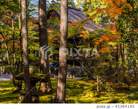 紅葉の三千院 45364195