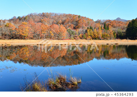 観音沼森林公園へ行きました　　＃17 45364293