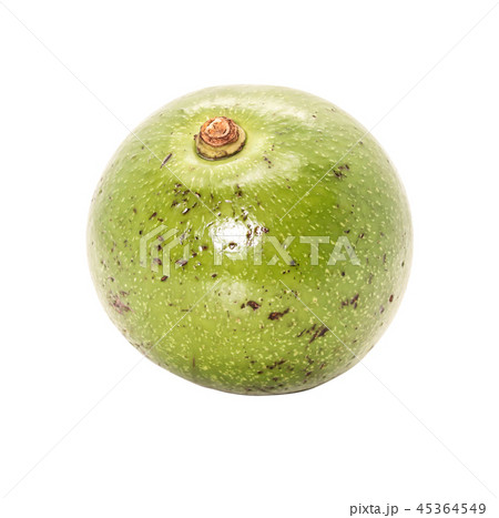 Single of green thai avocado on white background 45364549