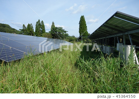 雑草に囲まれた太陽光発電所 雑草に囲まれた太陽光発電所 45364550